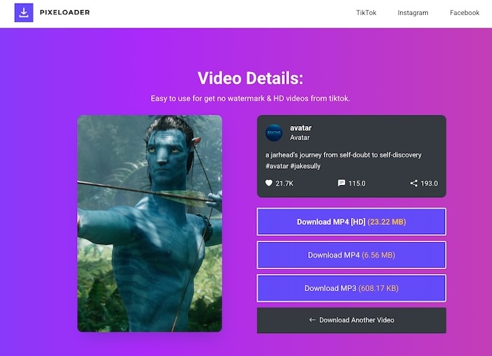 Pixeloader TikTok Download Detail